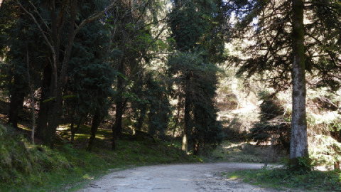 Off Road Ride thru Caminha and Viana Castelo WRC Stages