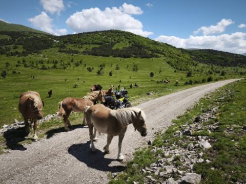 Balkan Mai 2025: An ambivalent journey. But the beautiful impressions remain 