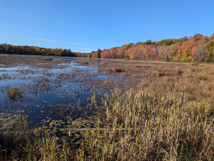 Muskoka - Huntsville off road colour explosion