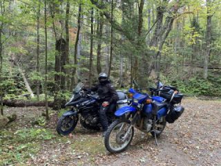 A quick poke on FR 325 in Vermont