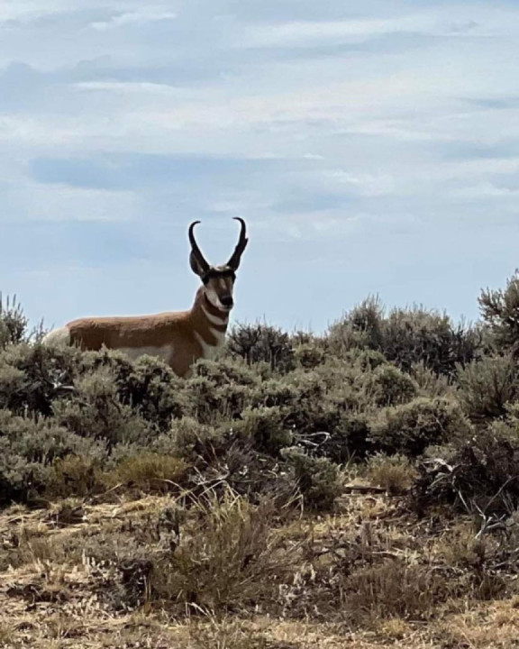 Epic Wyoming views. Great weather and even better views!