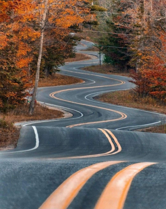 What bike would you ride on this road ??