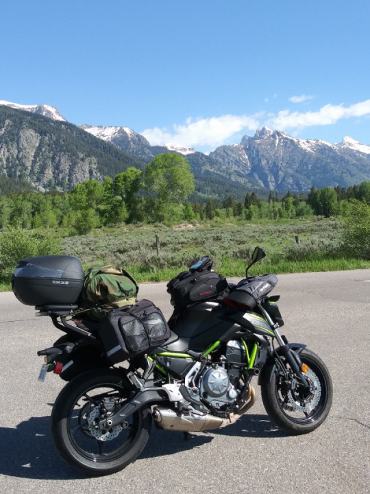Bridger Teton National Forest