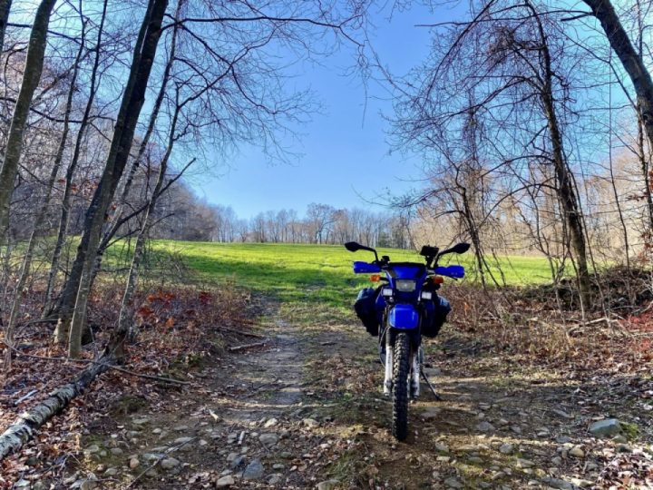 Sometimes it’s mild, sometimes it’s wild. Usually, it’s somewhere in between.