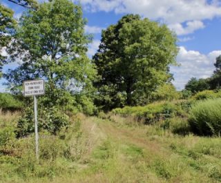 Group ride and solo shortcut