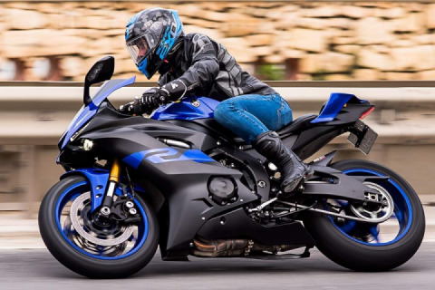 B,B Beauty?Blue, Black Beauty