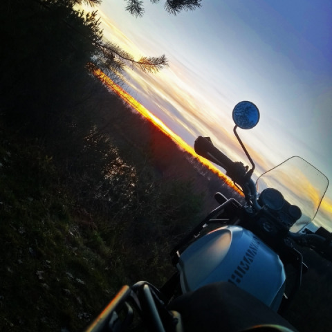 Enjoying the last bit of sun