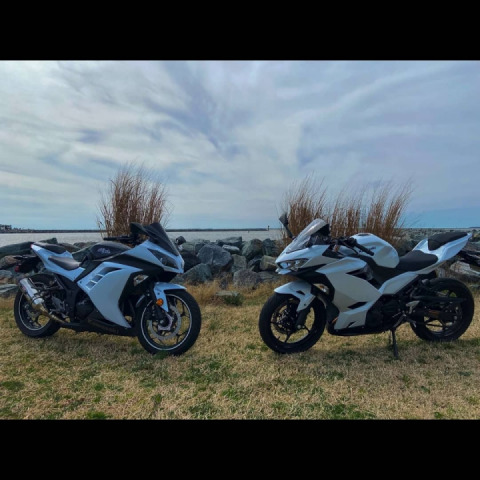 HAPPY BIRTHDAY BABY SHARK ?