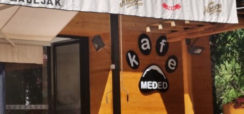 Djurdjevica Tara Bridge, and Žabljak ️☀️❤️️☕ Welcome to Montenegro