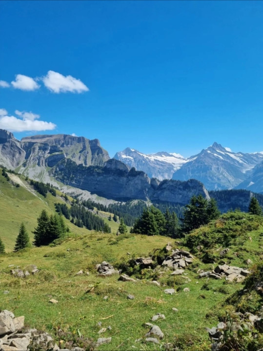 Schynige Platte ride, Switzerland