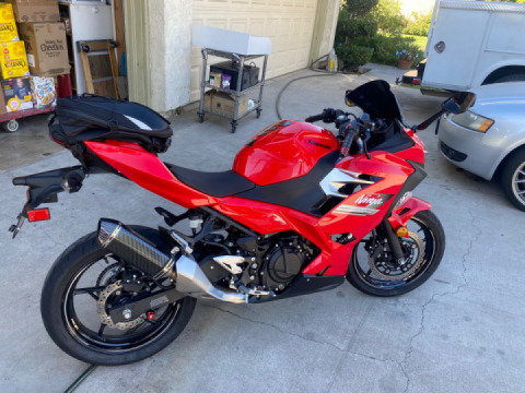 Live the life you love