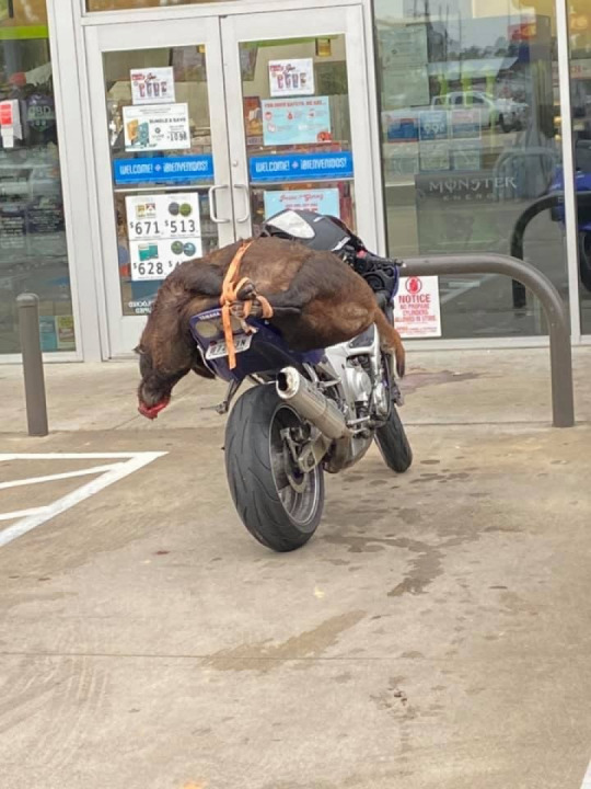 Only in The Great State of Texas ?...