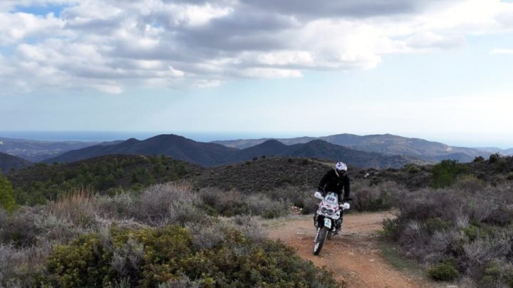 Just another day at the Beanz Bob office