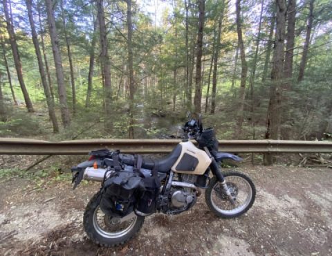 Better Leighton than never