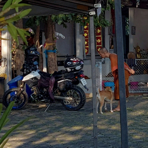 Buddhist Monk & Temple dog checking out my bike.