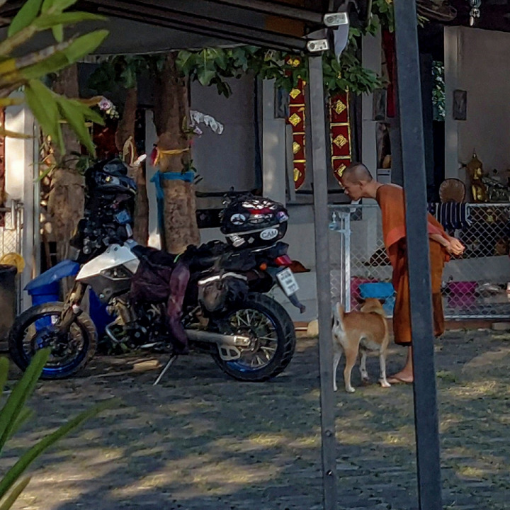 Buddhist Monk & Temple dog checking out my bike.