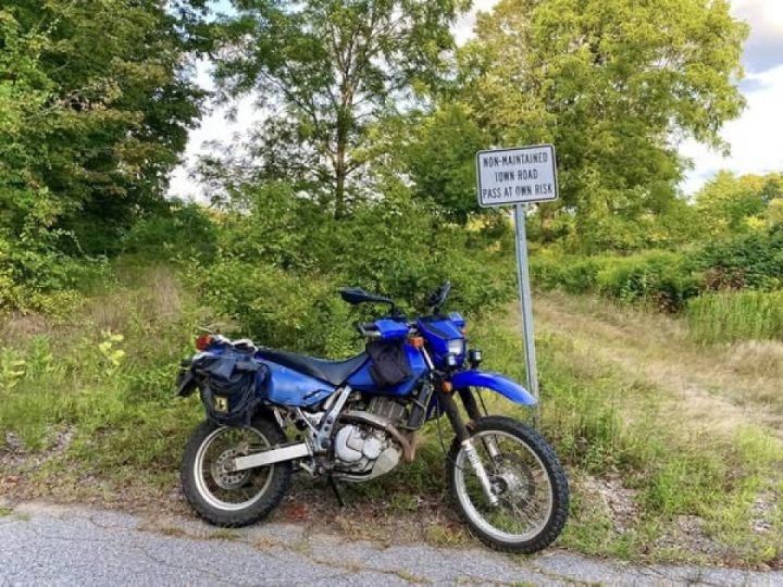 Ride like a Hedgehog