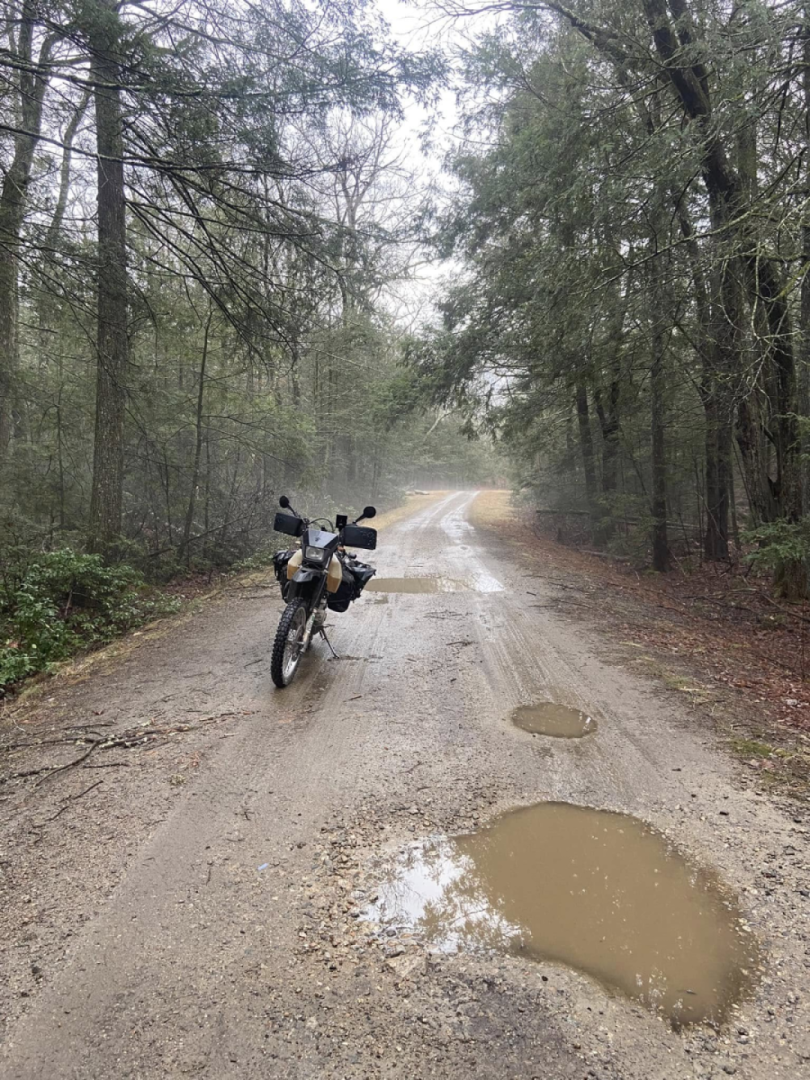 Misty, moist and muddy