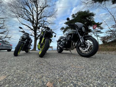 Is it springtime already? ?