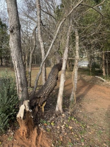 Beautiful weather for this time of year. Productive day.