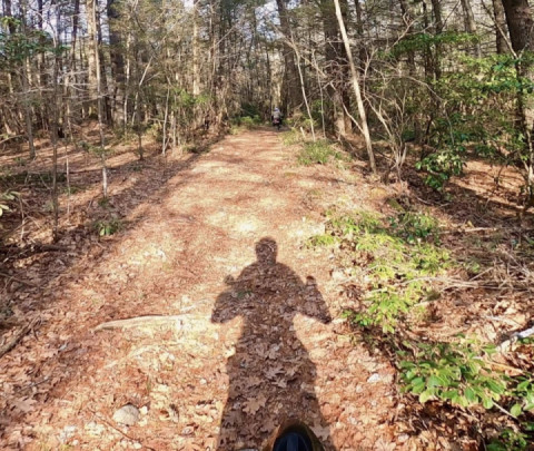 Stormin’ Norman Hill