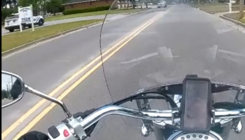 They're everywhere lol