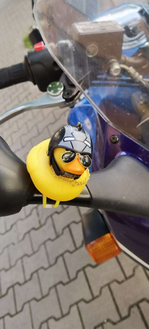 Fastest Rubber Duck in the world!