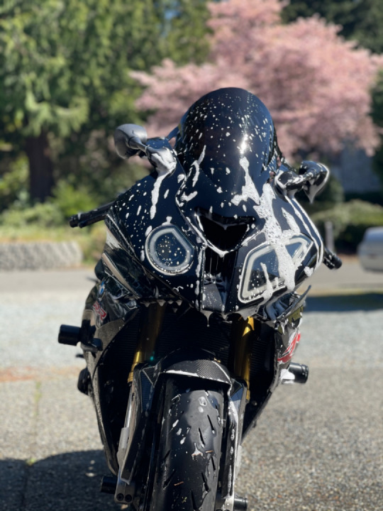 Had to take advantage of these sun rays today