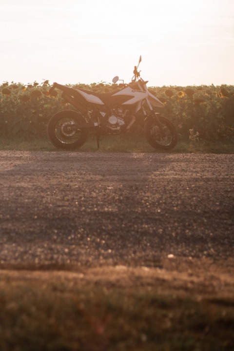 Introducing myself ✌️