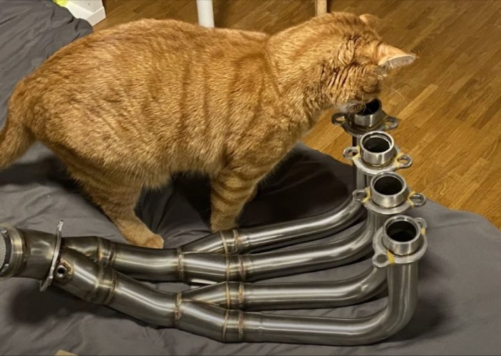 Glad to say it passed inspection