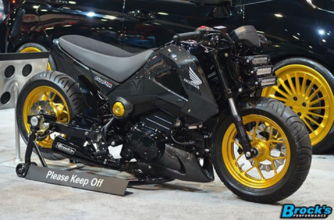 Incredibly massive big brother Grom