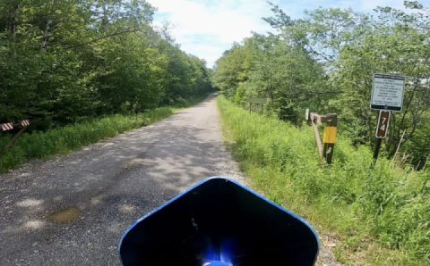 Forest roads by the numbers