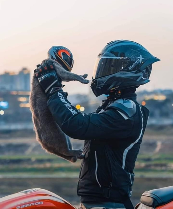 Looks cute, but can't ever imagine either of my cats letting me put a helmet on them ?