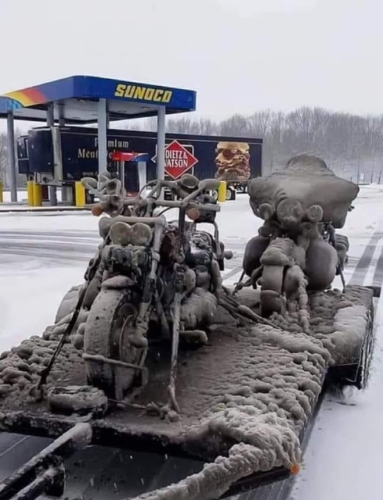 My wife: you don’t need unclosed trailer