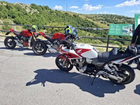 Went for a little run while it was cool