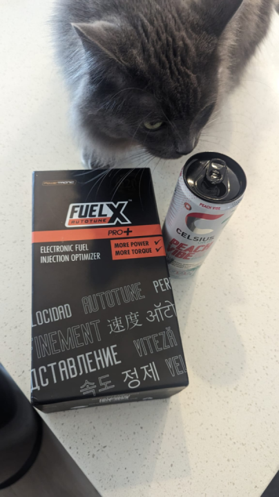 The excitement is pretty serious