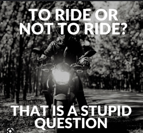 This is the Question? ?️???