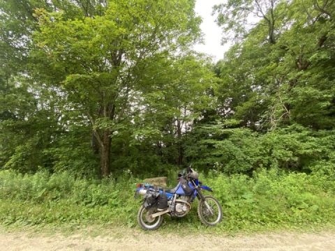 Wrong way … again. ‍♂️