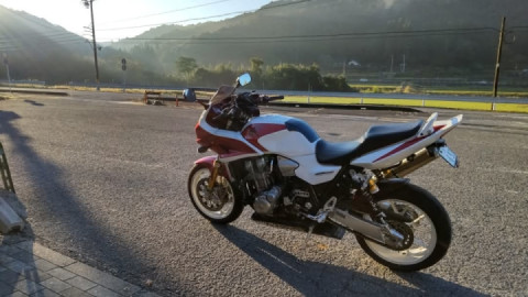 Basking in the morning glow