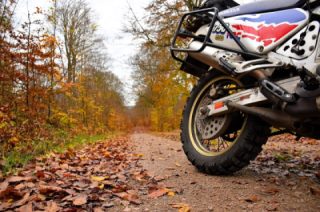 Out for the day in the northern part of Skåne county/Sweden. 12c overcast but no rain 👌