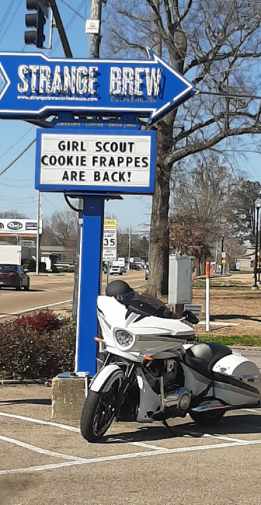 Enjoying some fine weather on Saturday