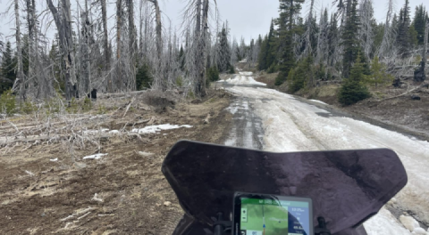 I think that's far enough for today.