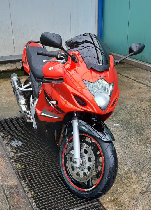 Suzi with her new black window