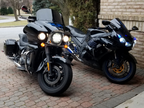 It's time to put them indoors before the snow and freezing rain comes...