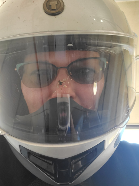 Thankful for a full face helmet