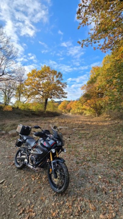 The whole cavalry.... 112 are hiding in Yamaha T12 and besides a few more in "life size"  