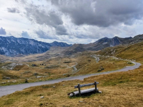 Arrived safely back in Vienna yesterday.