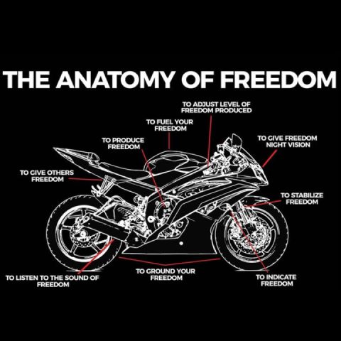 The Anatomy of Freedom