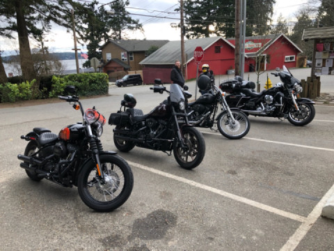 Where’s the sunshine? PNW spring come awn!