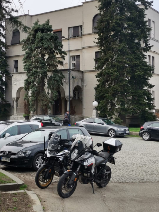 1000 Ruža, Avala...